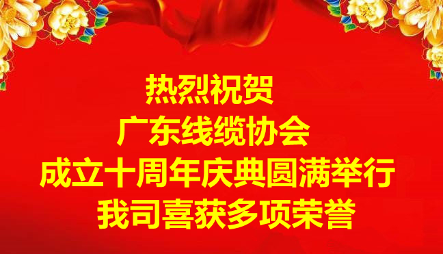 祝贺广东线缆协会成立十周年庆典圆满举行，我司喜获多项荣誉!